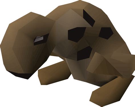 osrs strange spotted kebbit.